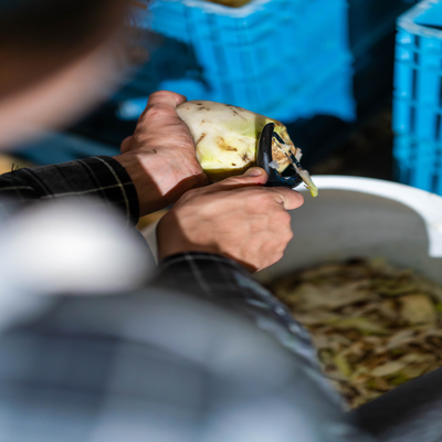 Artisans manually preparing beets by washing, peeling, and slicing